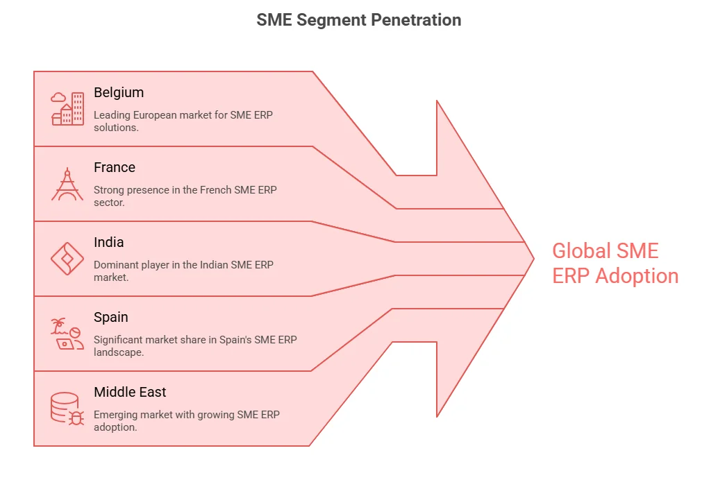 SME Segment Penetration