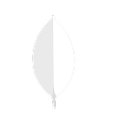 MongoDB