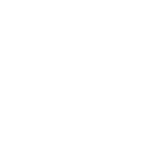 YOLO