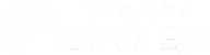 Through A Birds Eye