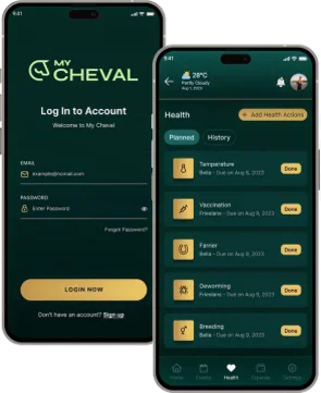 My Cheval