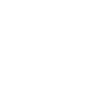 Automotive & Fleet